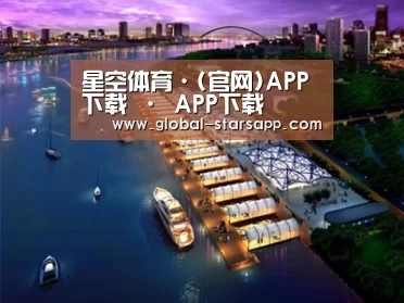 案例展示八