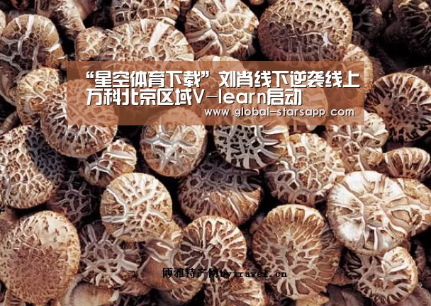 星空体育官网